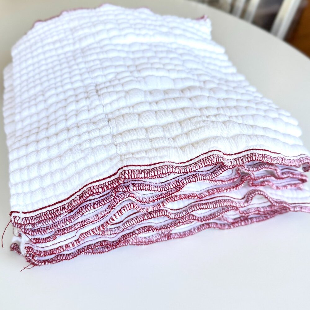 Red Edge Medium Prefold Clotheez Diapers (Set of 10, Green Mountain Diapers)